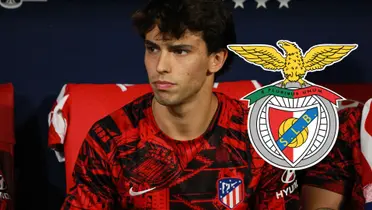 Joao Félix en el banquillo del Atlético. (Foto: EFE)